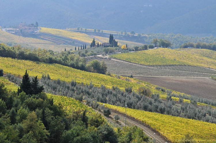 Paesaggio del Chianti